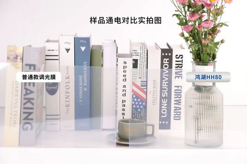 鴻湖HH80調(diào)光膜 為不凡而生，突破自爆與霧度之困